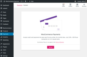 WooCommerce-payment-method