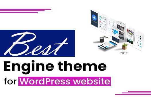 best wordpress theme