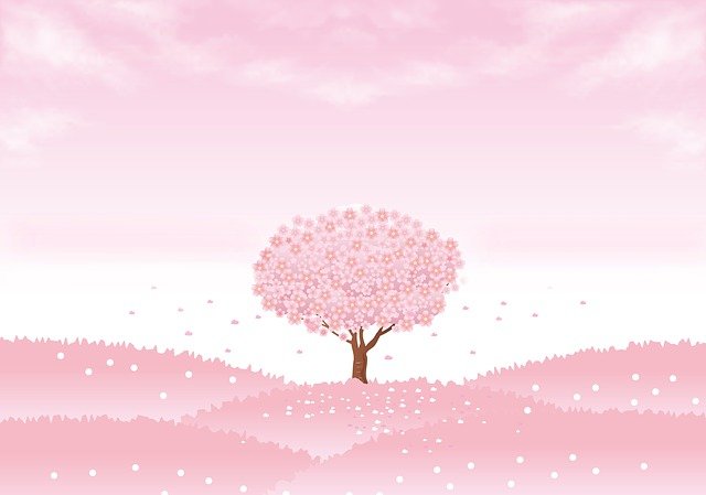 pink wallpaper- netilly blog